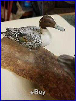 Magnificent Pintail Miniature Duck Decoys Elmer Crowell