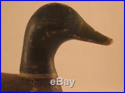 Mallard Decoy Unknown 100% Original Antique Goose Shorebird
