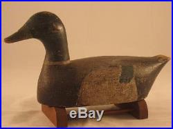 Mallard Decoy Unknown 100% Original Antique Goose Shorebird