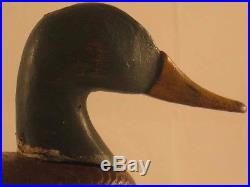 Mallard Decoy Unknown Long Island 100% Original Antique Goose Shorebird Branded
