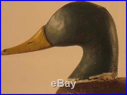 Mallard Decoy Unknown Long Island 100% Original Antique Goose Shorebird Branded