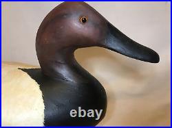 Maryland jo pelikan canvasback drake duck decoy