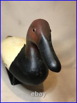 Maryland jo pelikan canvasback drake duck decoy