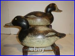 Mason Bluebill Decoy Pair Premier Grade Duck Decoys Original C. 1900