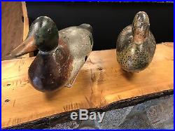 Mason Decoy Co. Pre 1900 Over 117 Years Old! Glass Eyed Mallard Pair. In OP