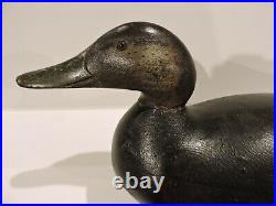 Mason Factory Premier Black Duck Decoy Orig. Paint Decoy