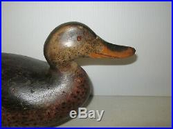 Mason Premier Grade Mallard Hen Vintage Original Paint Duck Decoy