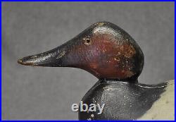 Mason STANDARD Grade CANVASBACK DRAKE glass eye duck decoy OP