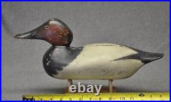 Mason STANDARD Grade CANVASBACK DRAKE glass eye duck decoy OP