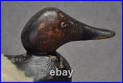 Mason STANDARD Grade CANVASBACK DRAKE glass eye duck decoy OP