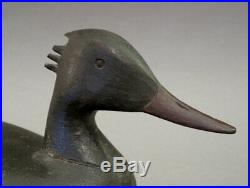 Merganser Duck Decoy Rhodes Truex Atlantic City Nj Circa 1890
