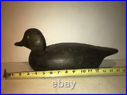 Michigan black duck drake decoy unknown maker vintage glass eye