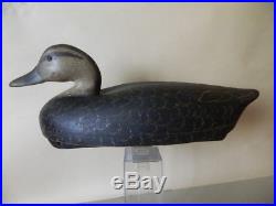Minty Signed Wildfowler Old Saybrook Conn Hollow Pine Black Duck Decoy Fantastic