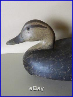 Minty Signed Wildfowler Old Saybrook Conn Hollow Pine Black Duck Decoy Fantastic