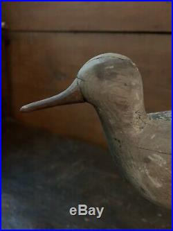 New Jersey Plover Shorebird Decoy, Mackey Collection