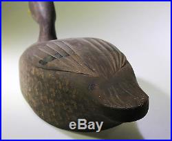 Nice 1950's Ontario Blackduck Hen Decoy Carved By Harry Spud Norman