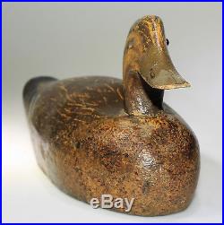 Nice 1950's Ontario Mallard Hen Carved By The Peterborough Canoe Company (as Is)