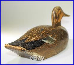 Nice 1950's Ontario Mallard Hen Carved By The Peterborough Canoe Company (as Is)