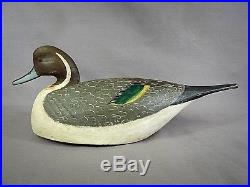 Nice Pintail Drake Decoy by Mark Daisey, Chincoteague VA Signed & Branded
