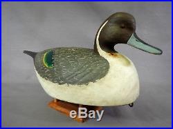Nice Pintail Drake Decoy by Mark Daisey, Chincoteague VA Signed & Branded