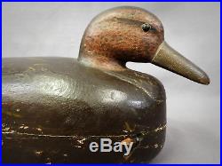 Nice RARE 1800s Vintage Antique Nathan Cobb Jr. Black Duck Decoy -Cobb Island VA