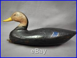 Nice Vintage Black Duck Decoy by Applegate, Bayville, South New Jersey ca. 1900