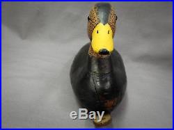 Nice Vintage Black Duck Decoy by Applegate, Bayville, South New Jersey ca. 1900