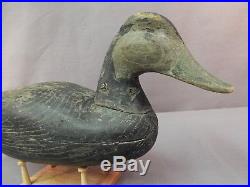 Nice Vintage Hollow Body Black Duck from Barnegat Bay, NJ Ward Museum Auction