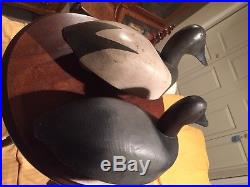 Nice Vintage Original Paint Pair Canvasback Duck Decoys By Paul Fraley Michigan
