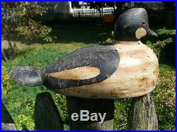 Old Eaton Goldeneye Duck Decoy From Maine