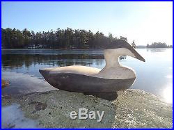 Old Eider Duck Decoy From Maine
