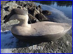 Old Eider Duck Decoy From Maine