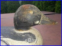 Old Elmer Crowell Goldeneye Duck Decoy