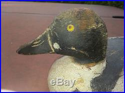Old Elmer Crowell Goldeneye Duck Decoy