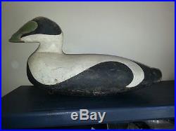 Old Oversized Eider Duck Decoy Fr Popham Beach Me