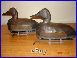 OLD Rigmate Pair HERTERS Canvasback Duck Decoys RARE