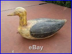Old Seagull Decoy From Maine