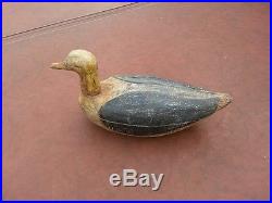 Old Seagull Decoy From Maine