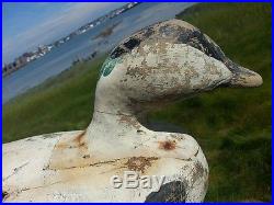 Old Sea Duck Decoy From Maine