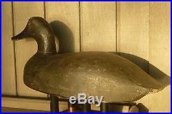OTTO MISCH, Saginaw Bay Classic Canvasback Hen- long and racy hollow stool