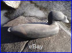 Old Coot Duck Decoy Carved in a Maine Lighthouse