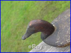 Old Maine Estate Graceful Working Canvasback Decoy Used For Gunning