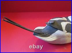 Old Squaw Long-tailed working Duck Decoy Vintage original paint highly detailed