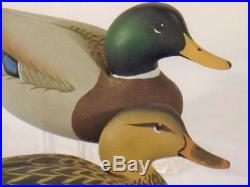 Oliver Lawson Duck Decoys Maryland Original Antique Wooden Goose Shorebird