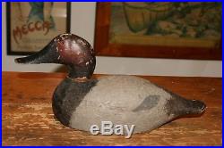 Original Antique Evans Competitive Grade Canvasback Duck Decoy
