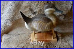 Outstanding 1996 Hand-carved Drake Ruddy Duck Decoy By Carver Dick Bonner Ln