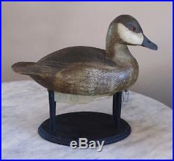 Outstanding Early Ruddy Duck Decoy by Al Wragg