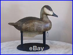 Outstanding Early Ruddy Duck Decoy by Al Wragg