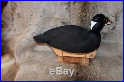 Outstanding Pair Scoter Duck Decoys By World Class Carver Author Tom Matus Ln