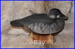 Outstanding Pair Scoter Duck Decoys By World Class Carver Author Tom Matus Ln